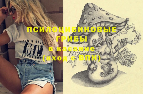 МДПВ Абдулино