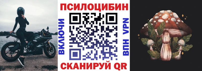 Псилоцибиновые грибы прущие грибы  Ялта 